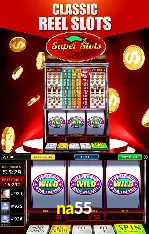 Flash Promotion na55