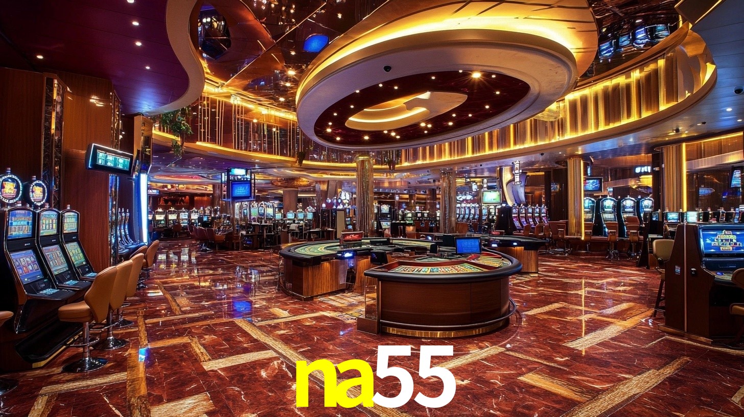 Premium Interface na55