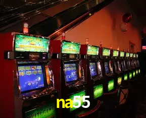 Platform Technology na55